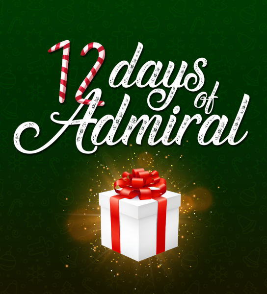 12 days of Christmas